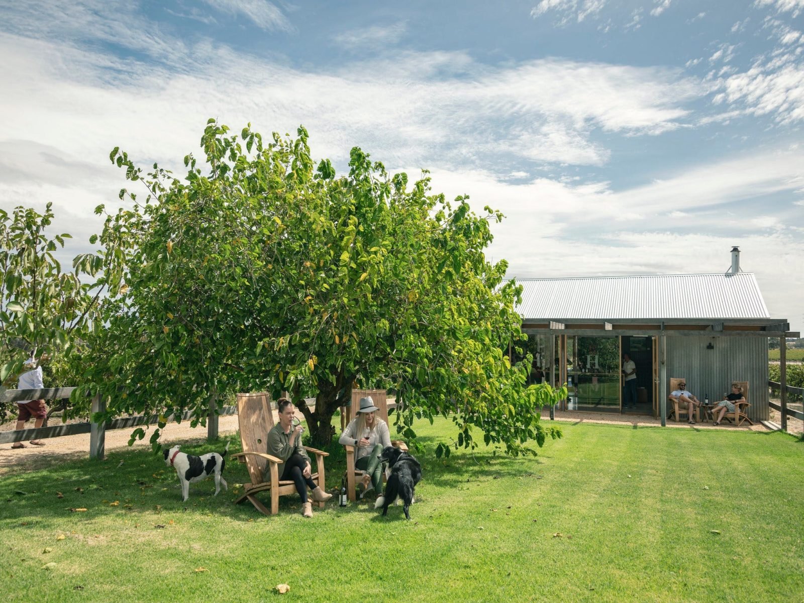 Relax on the lush lawns - kid and dog friendly