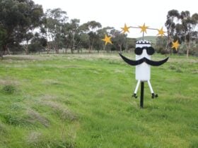 5 Stars have been given for Food Handleing Practices from Onkaparinga Council