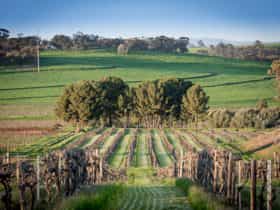 Heritage Wines