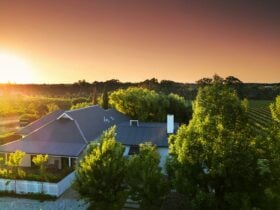 Cellar Door & Accommodation