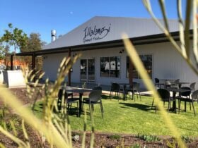 Our new garden & cafe