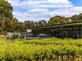 Jacob's Creek Display Vineyard