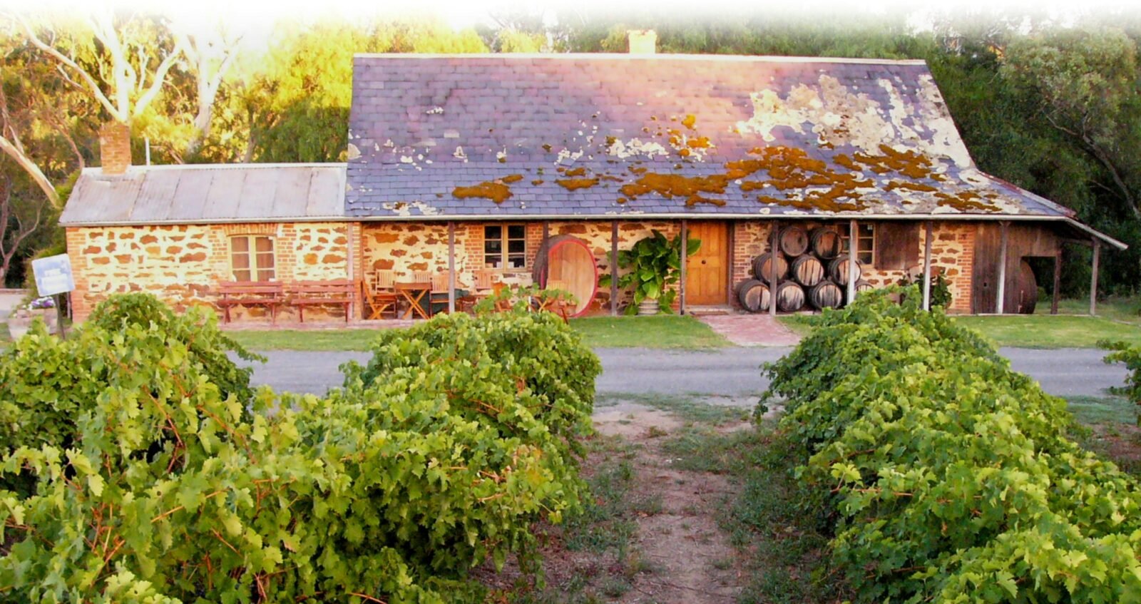 Visit our Cellar Door