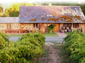 Visit our Cellar Door