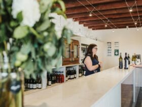 Cellar Door Tasting