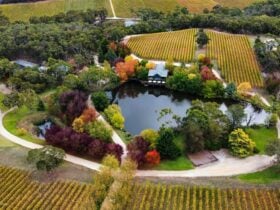 K1 Wines Cellar Door