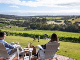 Kay Brothers Winery Deck overlooking view