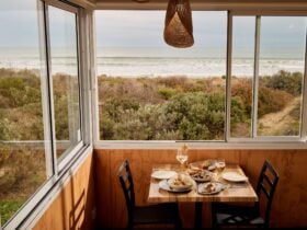 the view at the shack