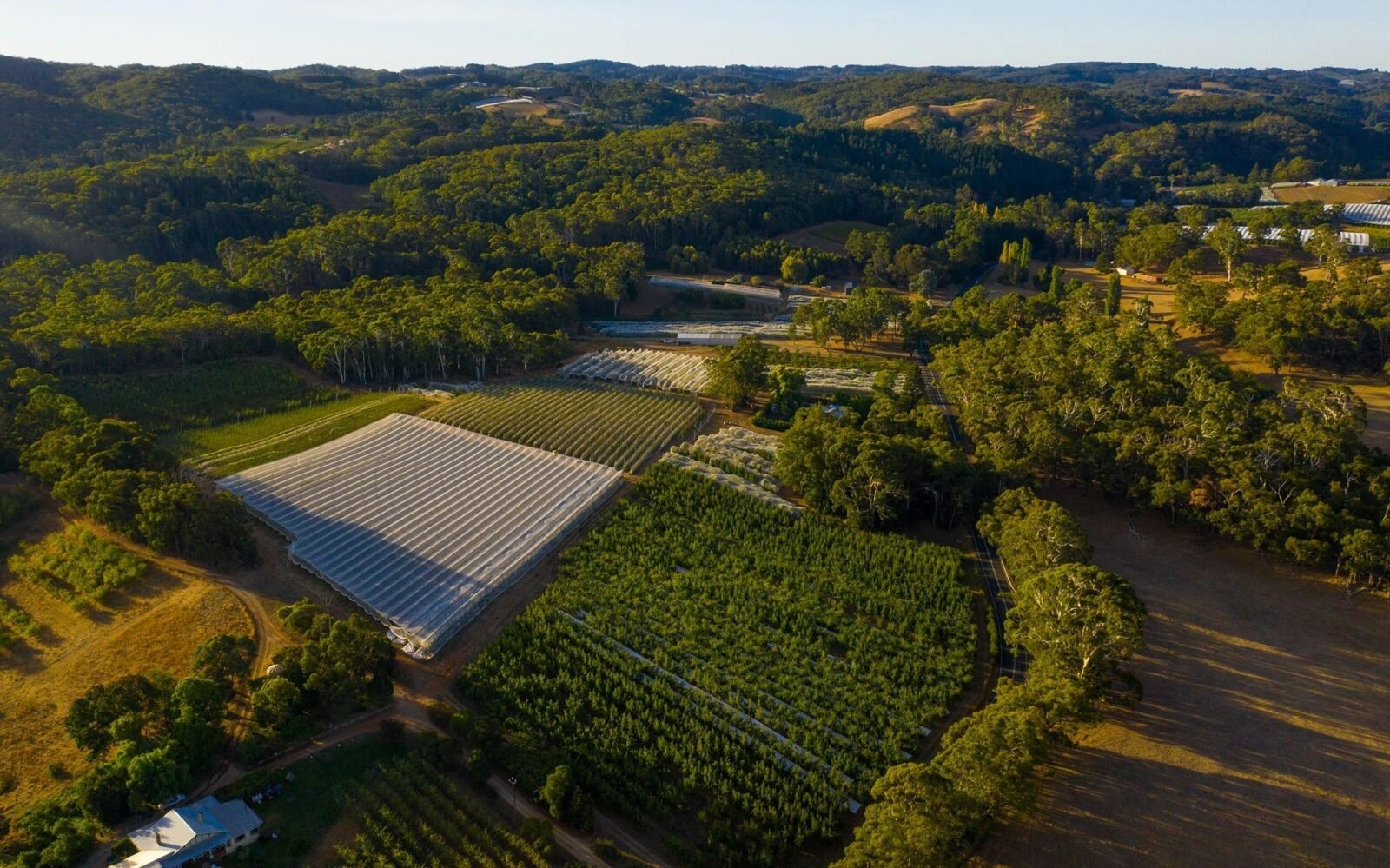 Lenswood Cider Co.