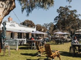 magpie-and-stump-lawns