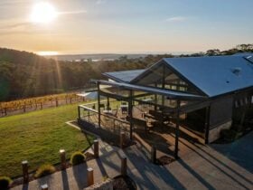 Main & Cherry cellar door aerial image