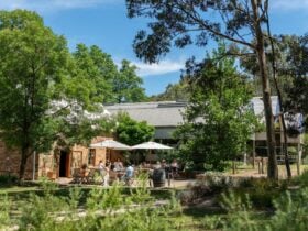 Mitchell Wines cellar door and tasting room