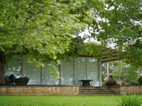 Monteperle Wines cellar door in Barossa Valley, nestled among lush trees and vineyard greenery.