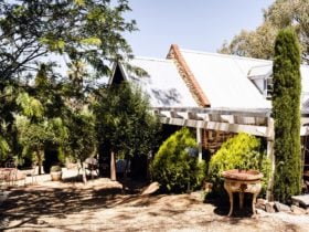 Moorooroo Park Vineyards