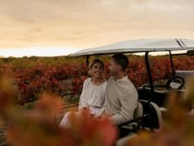 Vineyard Tour in Autumn