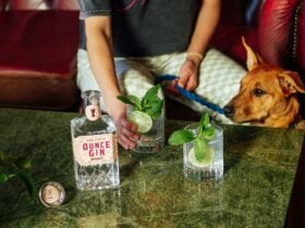 A bottle of Ounce Gin 'Bright' Gin and two gin and tonics on a table while someone reached for it