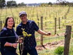 People standing next to vines