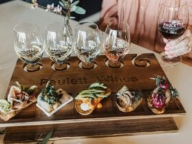 Paulett Wines Cellar Door - Canape & Wine Flight Experience