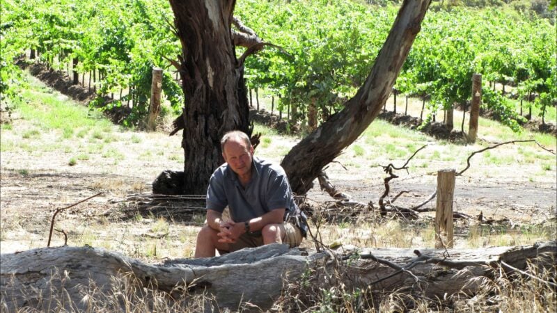 Man seated in front of gum trees and vines