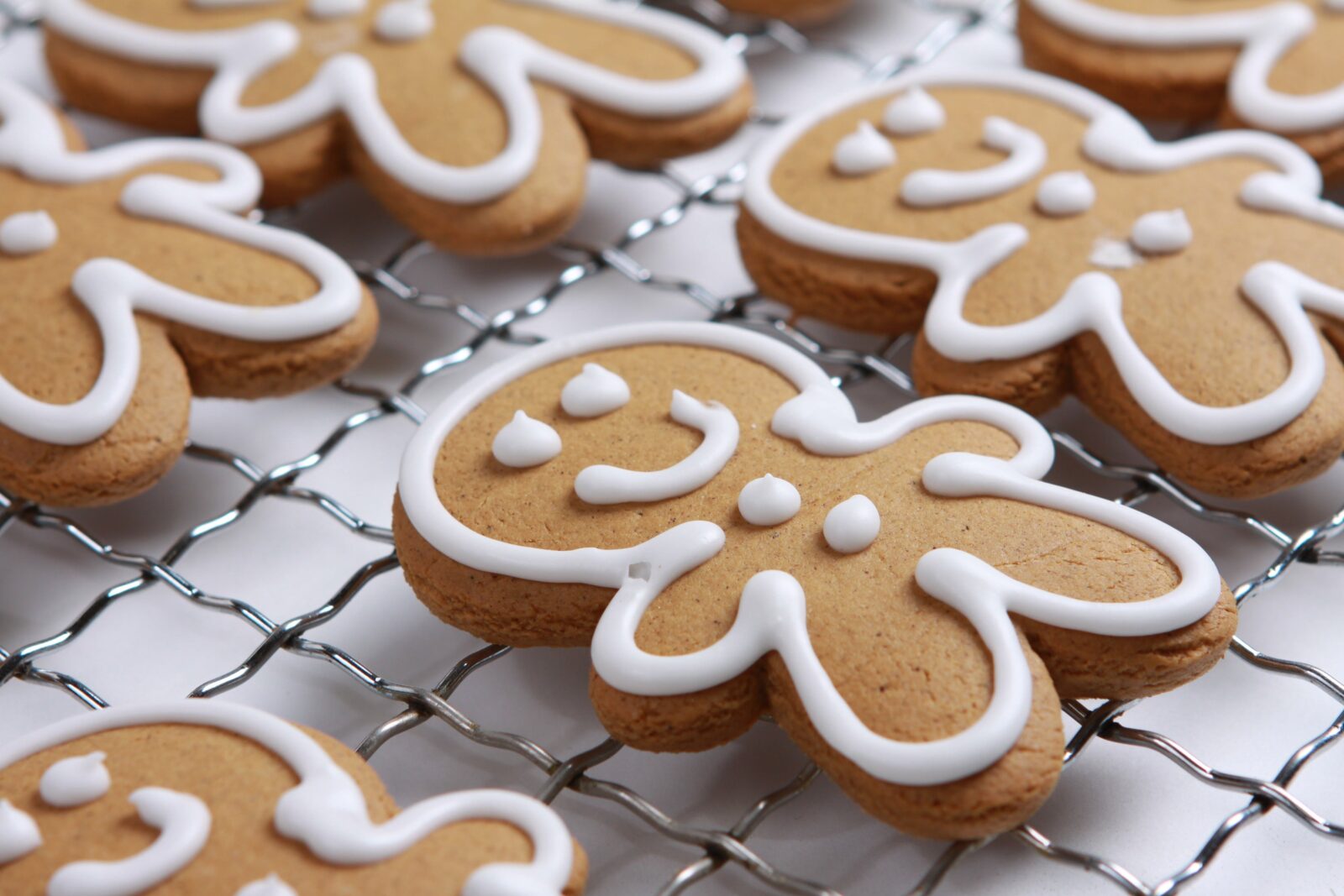 Gingerbread Biscuits