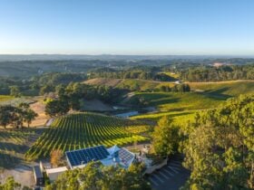 Panoramic views of the Adelaide Hills, Lenswood - Restaurant, Cellar Door, Weddings, Corporates