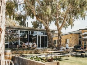 Pikes Beer Co. Brewery and Beer Garden Clare Valley