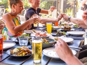 Sharing plates & beers
