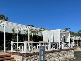 Settle in under the vines and enjoy lunch or a glass of wine on our Terrace