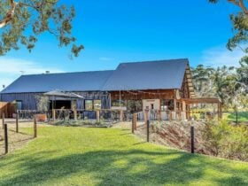 Shadow Creek cellar door creekline view