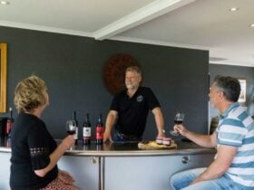 three people tasting wine around a counter