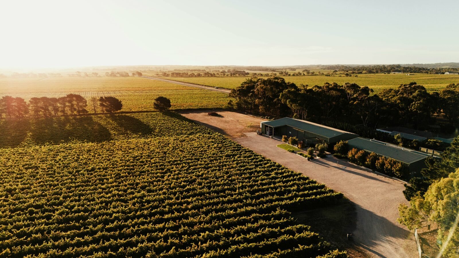 Aerial Shot of Shirvington Wines