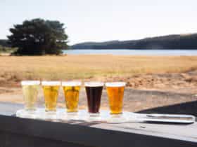 Tasting Paddle overlooking Myponga Reservoir