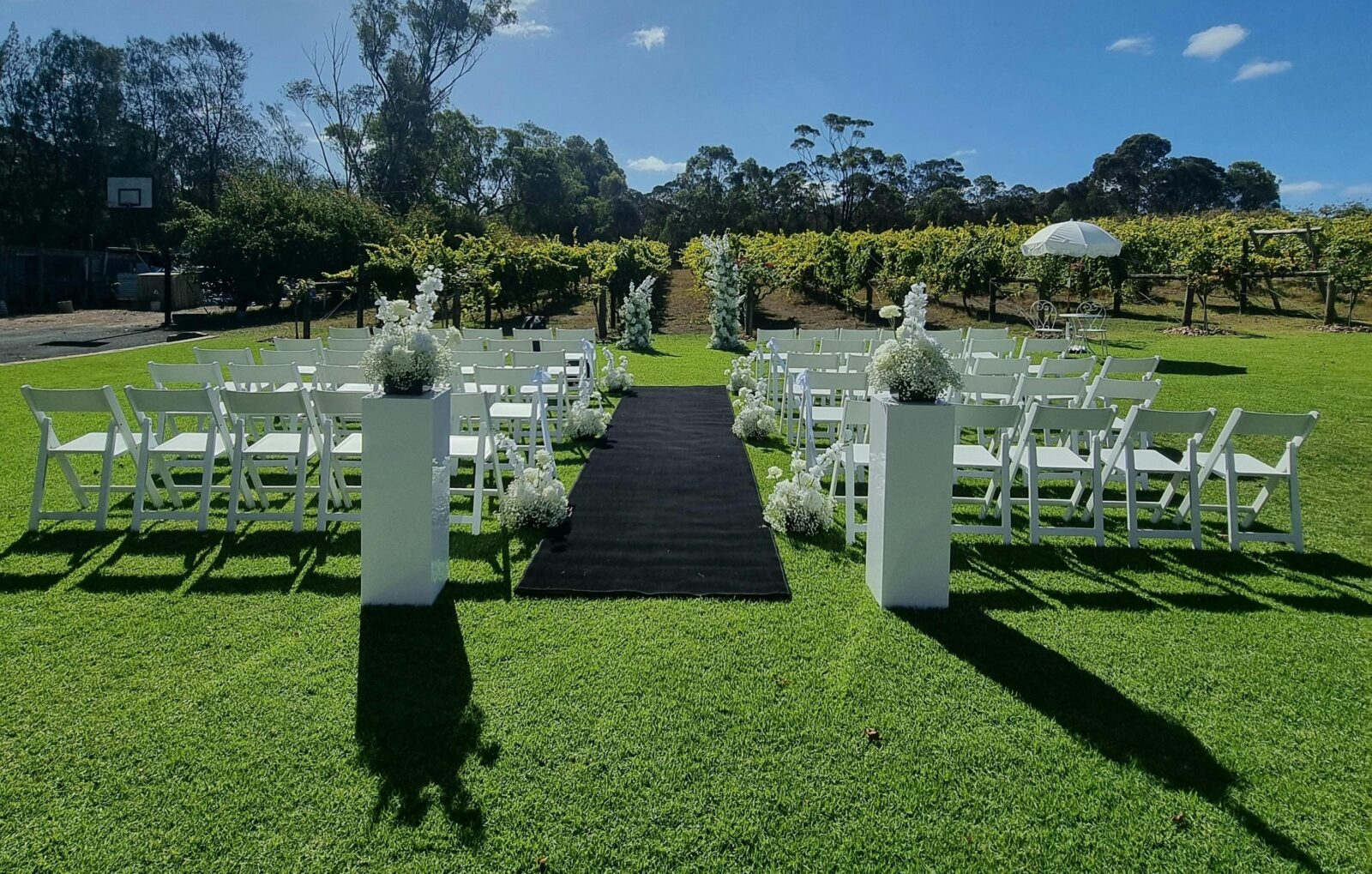 Outdoor ceremony setup with white chairs, on our grassed area in front of grape vines