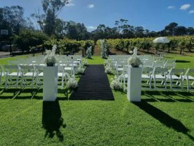 Outdoor ceremony setup with white chairs, on our grassed area in front of grape vines