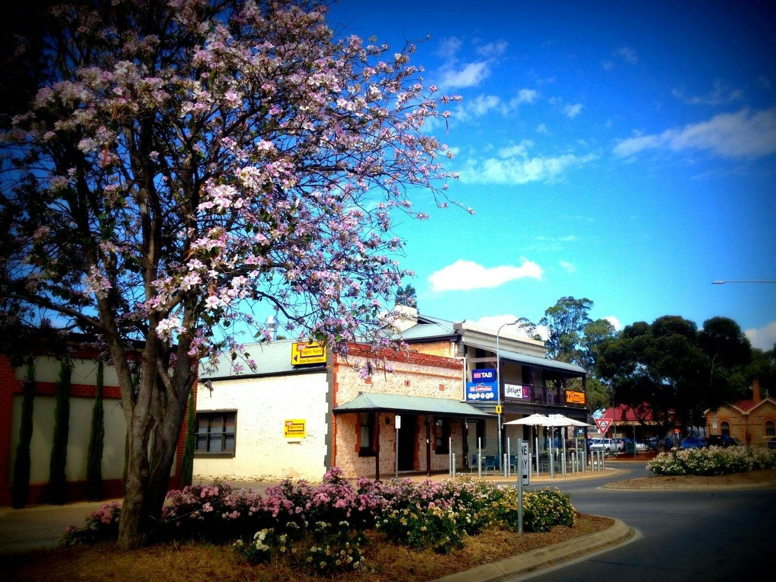 Picture of The Criterion Tavern in Spring
