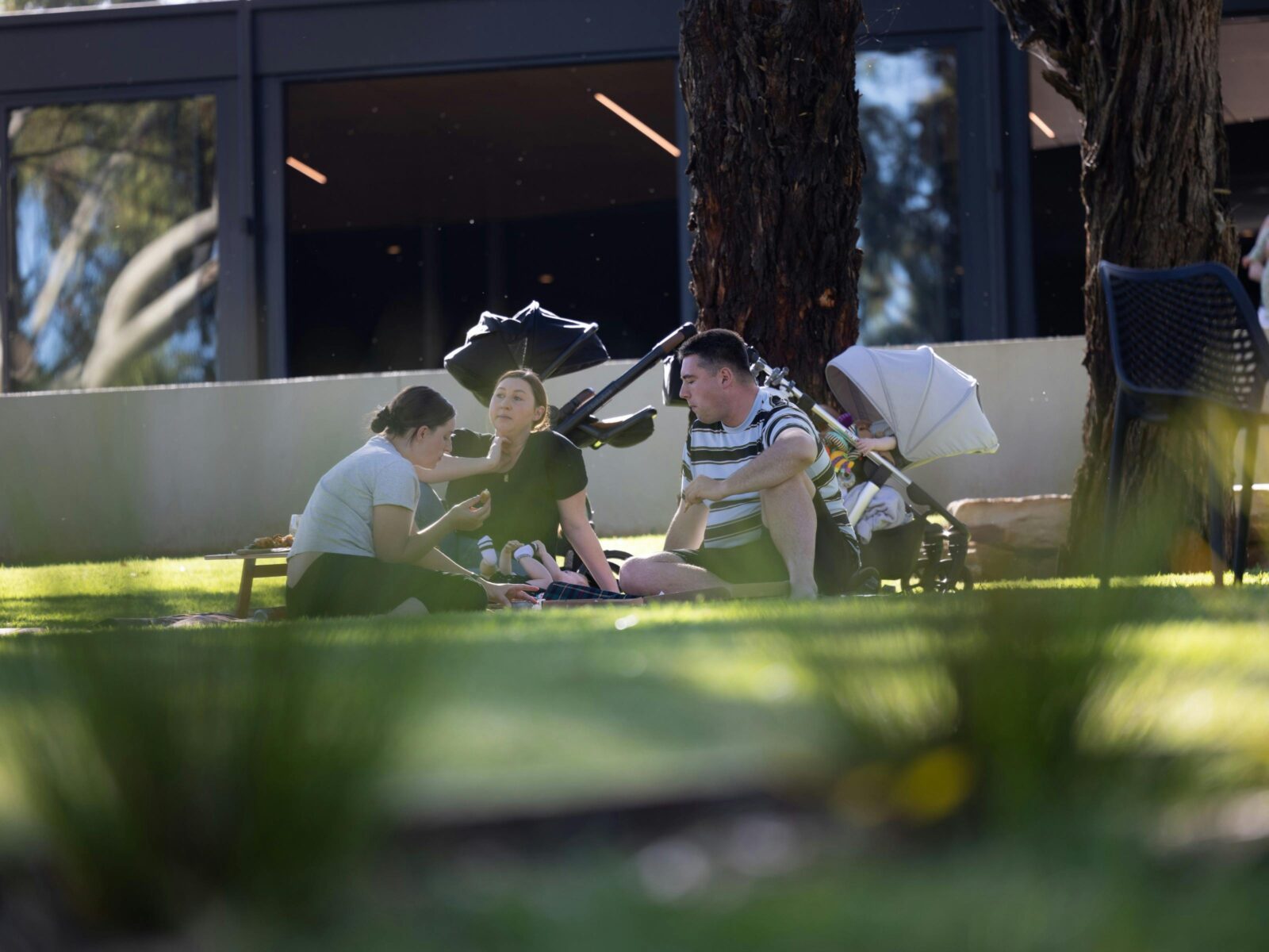 Two adults and a child sit on shaded lawn under gum trees