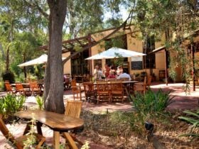Outdoor seating area at Trilbyâs Chocolates in Blewitt Springs surrounded by trees.