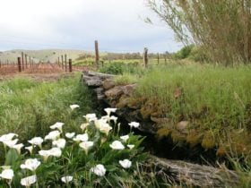 Original Troll Creek bridge