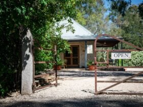 Turkey Flat Cellar Door