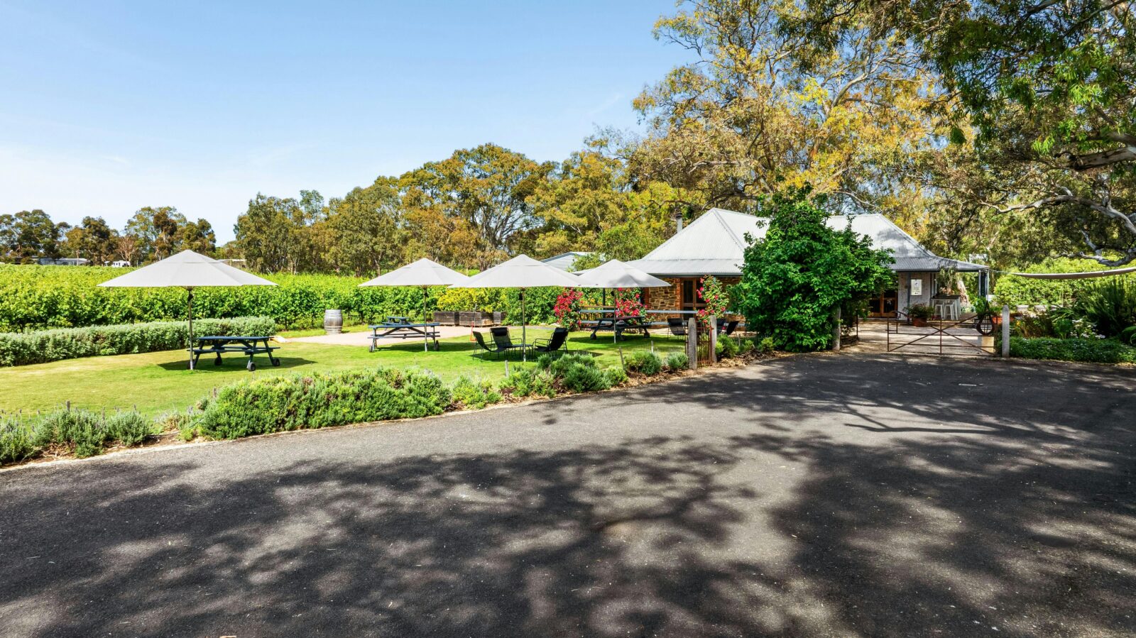 Beautiful lawned Area