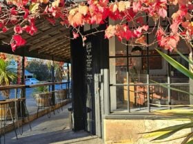 The Cellar Door entrance.