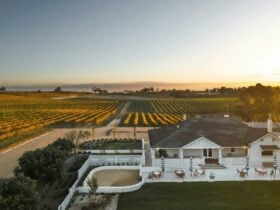Image of the outside of teh Wonderground Gallery and Cellar Door looking back to the vineyards on ts