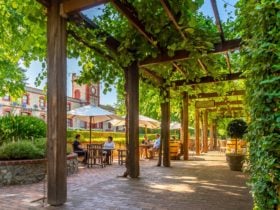 The Yalumba Wine Room
