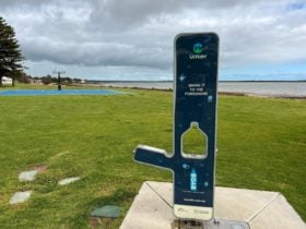 Drinking Fountain and BYOB refill station