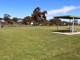 The fully fenced park provides a safe environment for dogs to exercise off-leash.