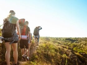 Trip planner, Curated Journeys, Tour and Activity Directory app for Tourism and Travel in Australia