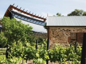 National Wine Centre building