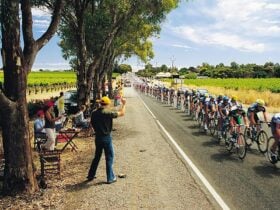 Santos Tour Down Under