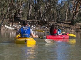 Convenient parking and kayak hire situated right on Renmark