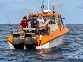 Custom tuna charters are a great summer option